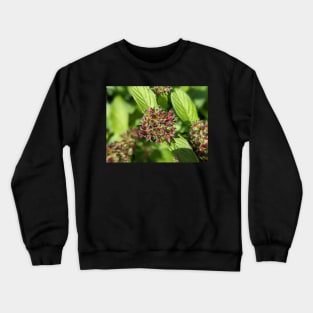 Penta Buds 1 Crewneck Sweatshirt